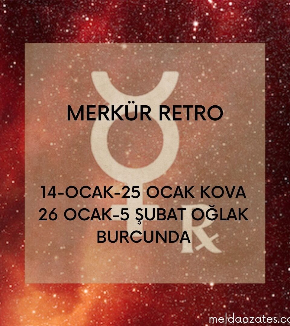 https://meldaozates.com/wp-content/uploads/2022/01/aycicek-sari-kahverengi-sade-modern-feminen-gunluk-motivasyon-instagram-gonderisi-1-960x1080.jpg